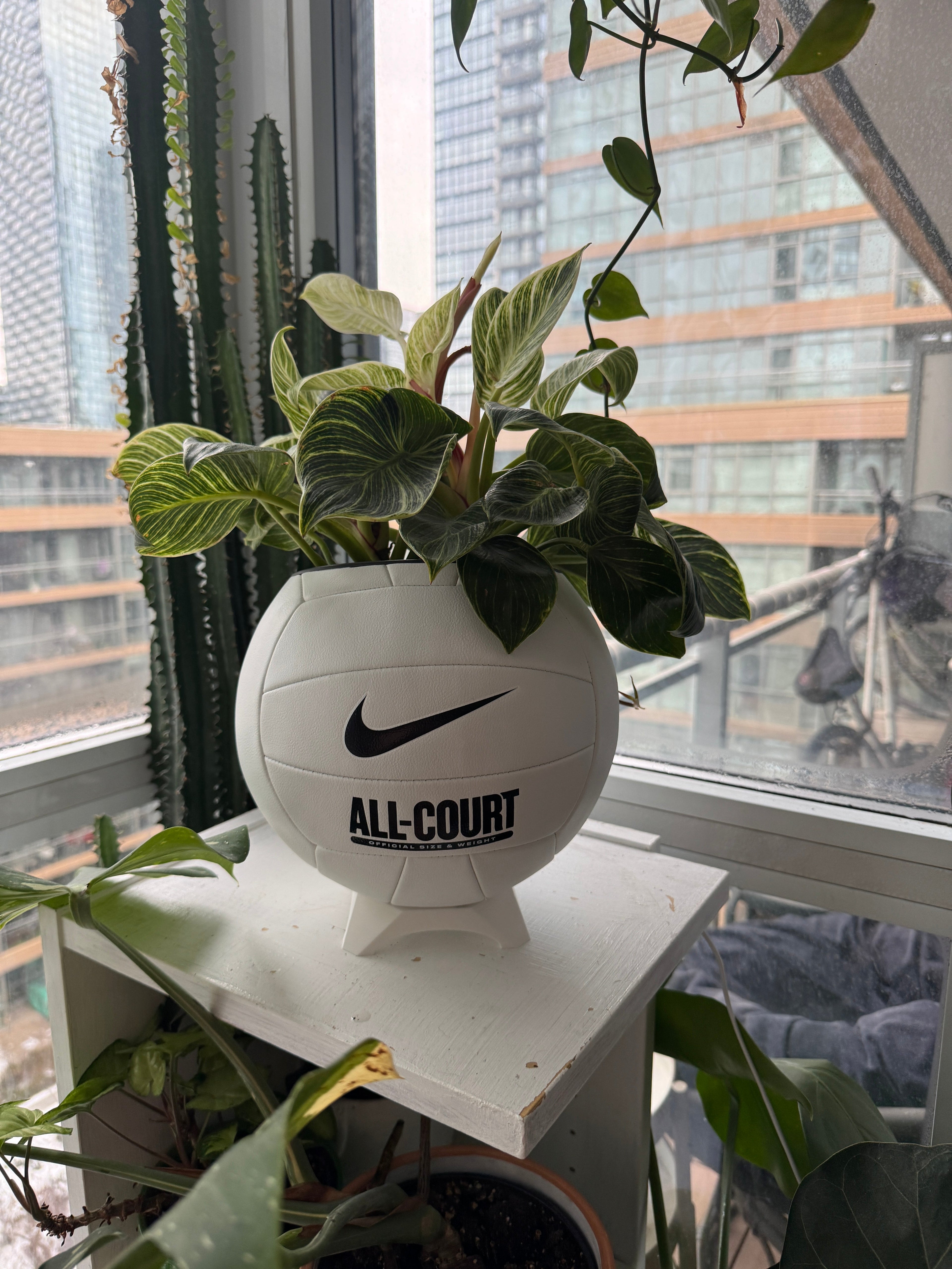 All Volleyball Planters