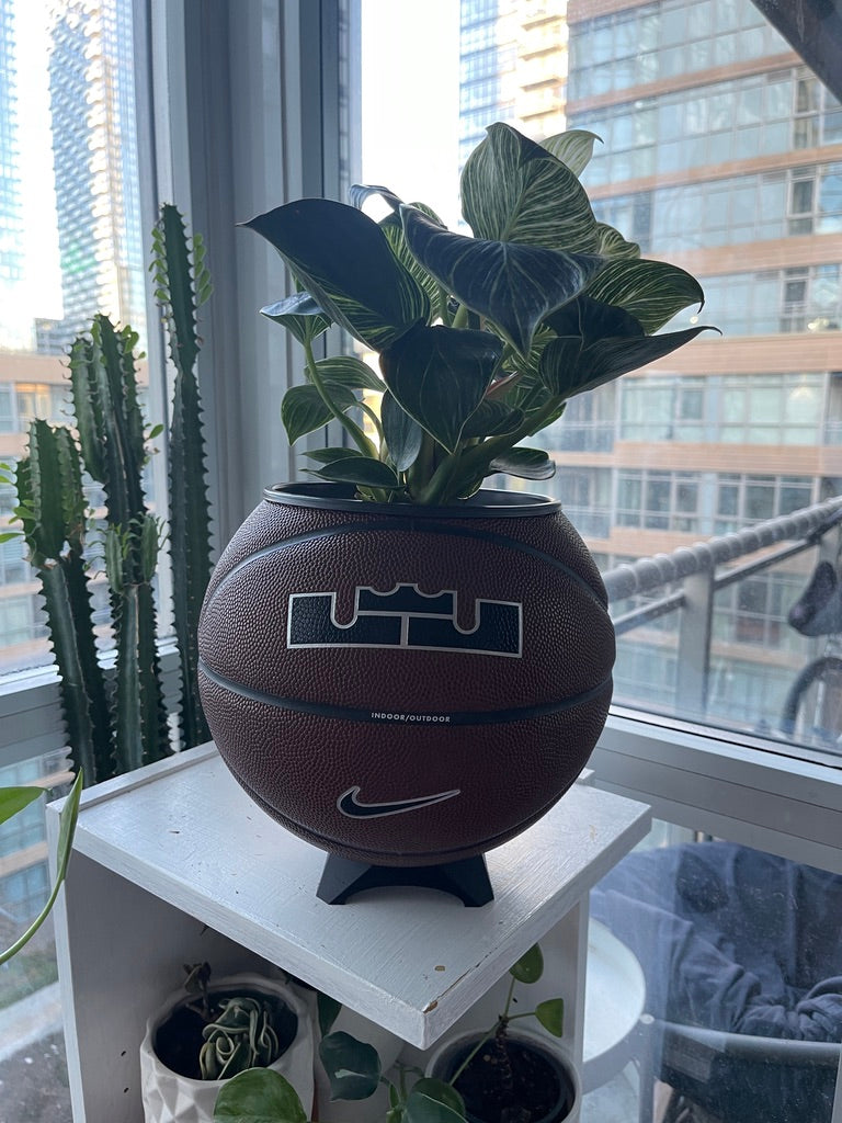 Nike Large Basketball Planter (LeBron Brown)