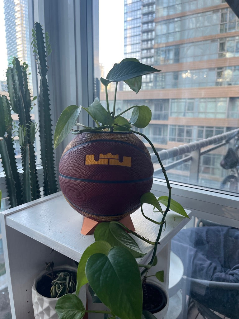 Nike Mini Basketball Planter (Lebron James)