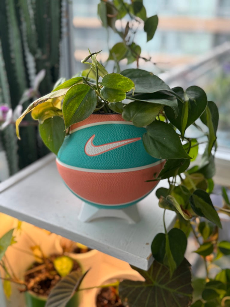 Nike Mini Basketball Planter (Malibu Beach)