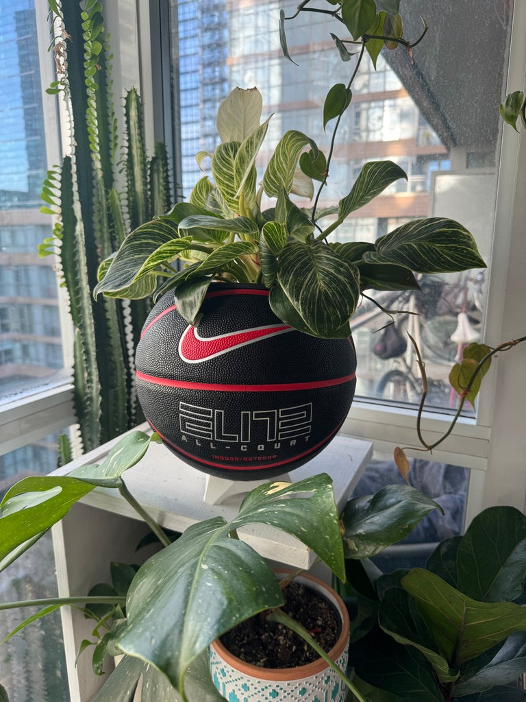 Nike Large Basketball Planter (Black & Red Elite)