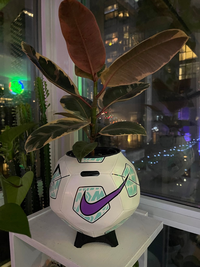 Nike Large Soccer Ball Planter (Purple Pitch)