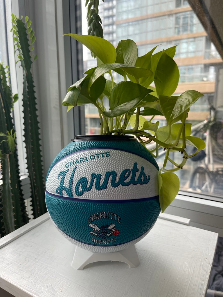 Mini Basketball Planter (Charlotte Hornets)