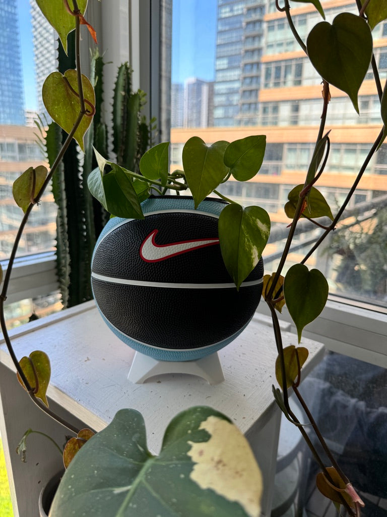 Nike Mini Basketball Planter (Blue Cherry)