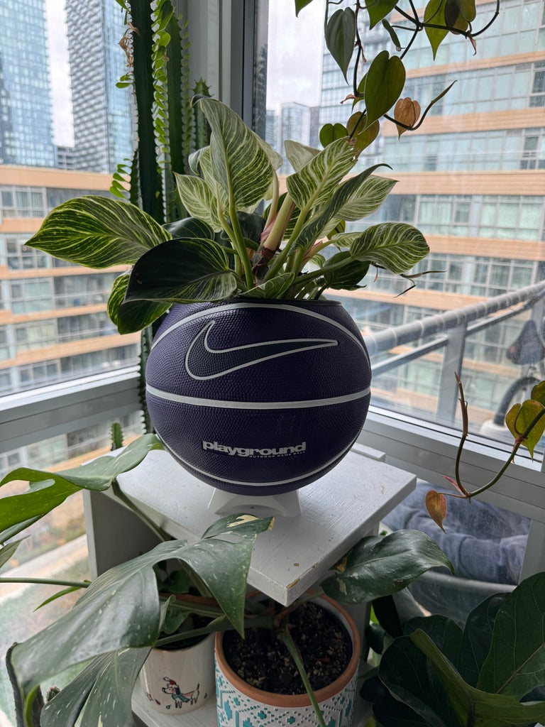 Nike Large Basketball Planter (Nike Purple)