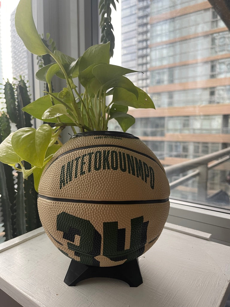 Mini Basketball Planter (Giannis Antetokounmpo)