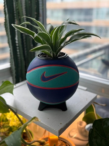 Nike Mini Basketball Planter (Blue Volt)