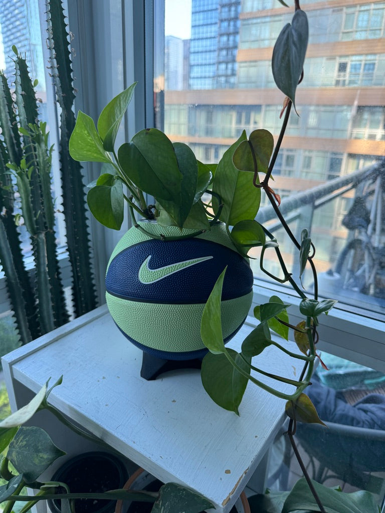Nike Mini Basketball Planter (Blueberry Lime)
