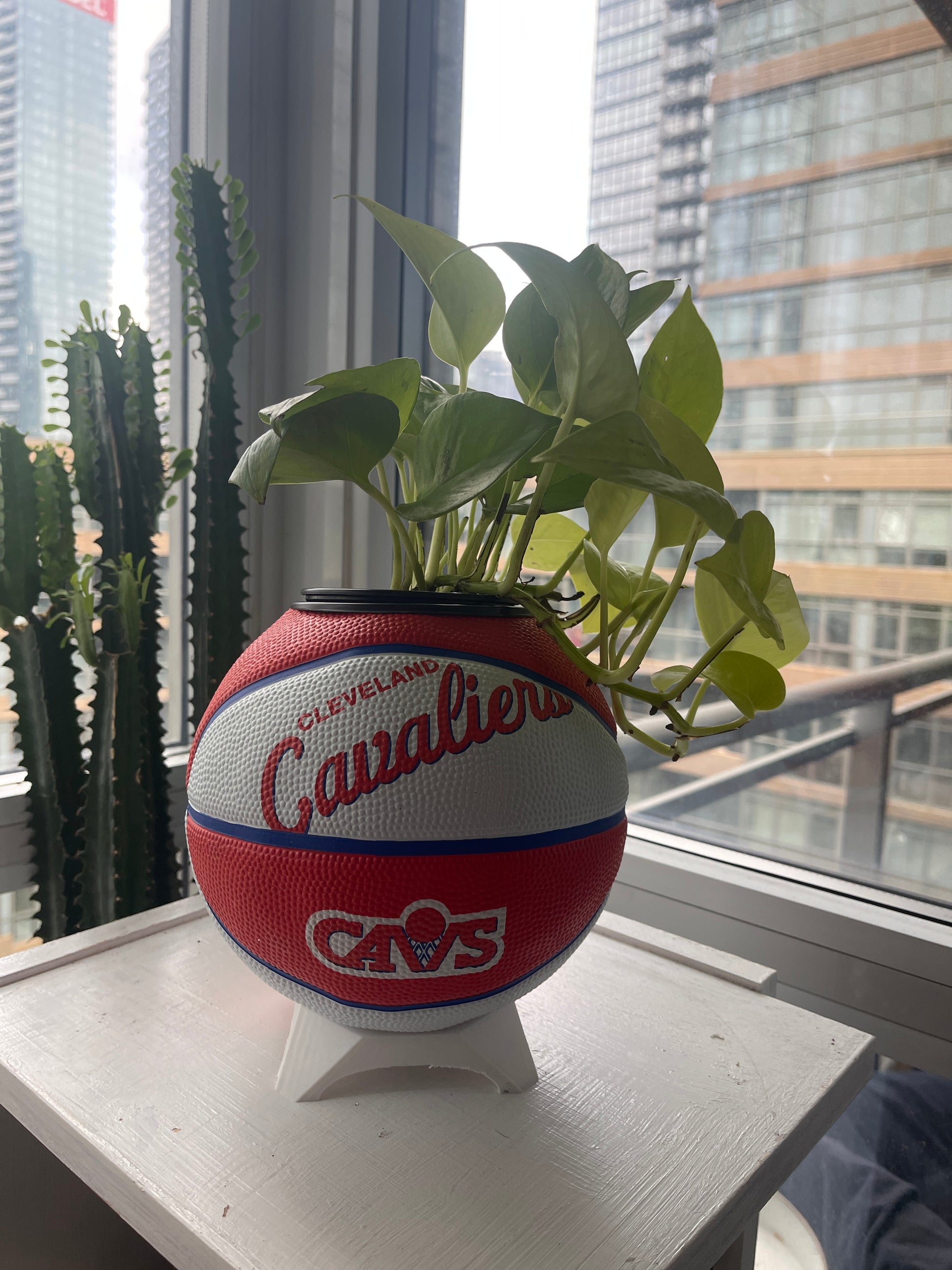 Mini Basketball Planter (Cleveland Cavaliers)
