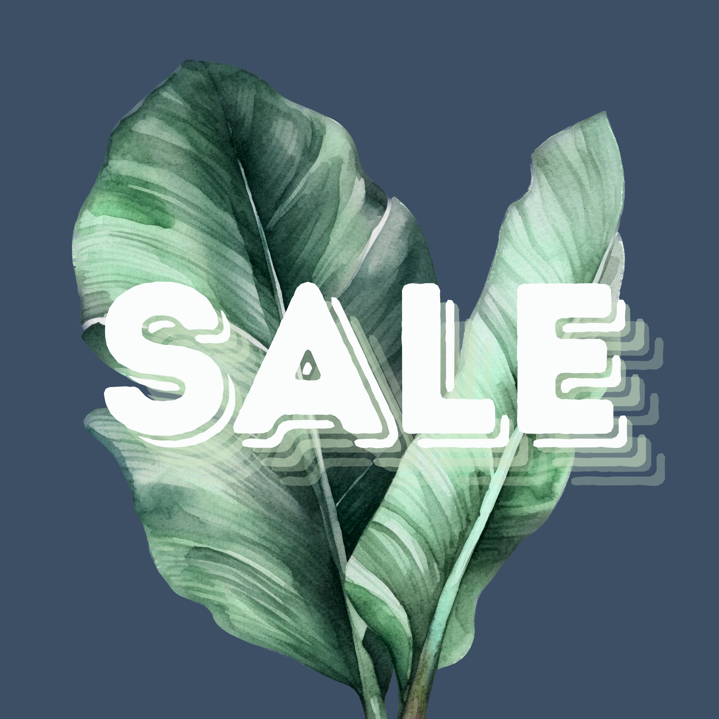 On Sale / Clearance