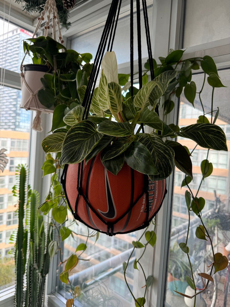 Nike Large Basketball Hanging Planter (Black Macrame - Original Reversed)