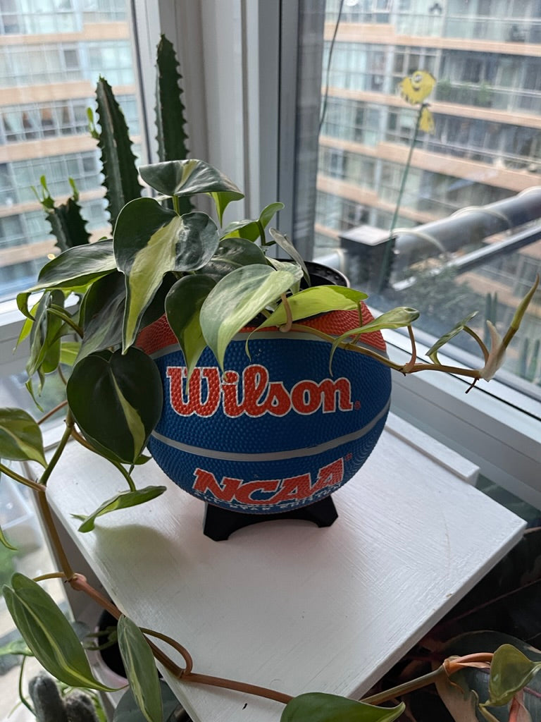 Mini Basketball Planter (NCAA Orange)