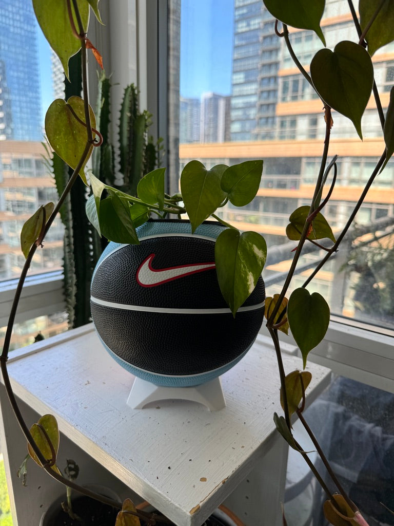 Nike Mini Basketball Planter (Blue Cherry)