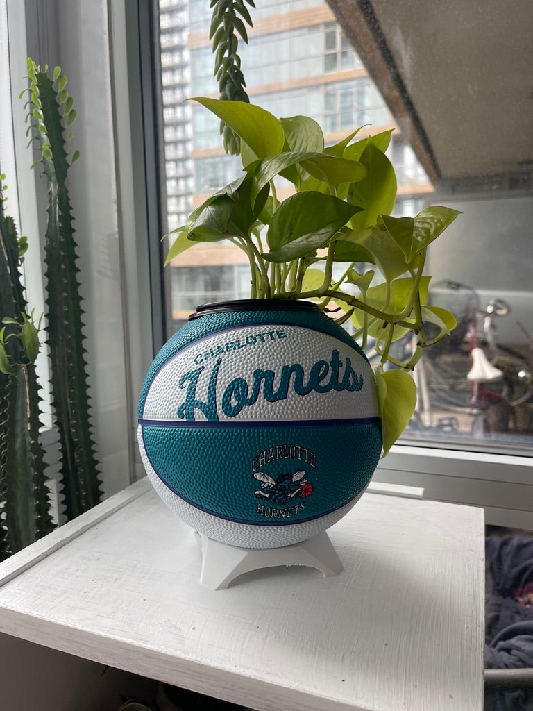 Mini Basketball Planter (Charlotte Hornets)