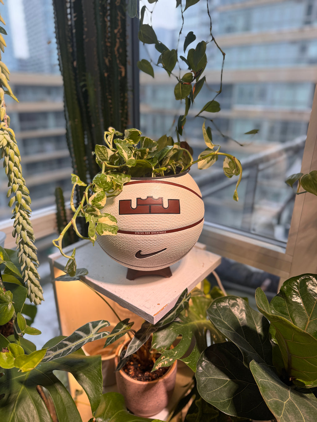 Nike Large Basketball Planter (LeBron King Brown & White)