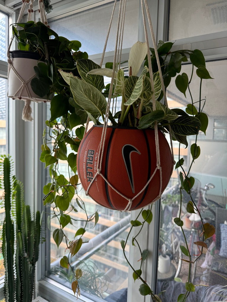 Nike Large Basketball Hanging Planter (White Macrame - Original Reversed)