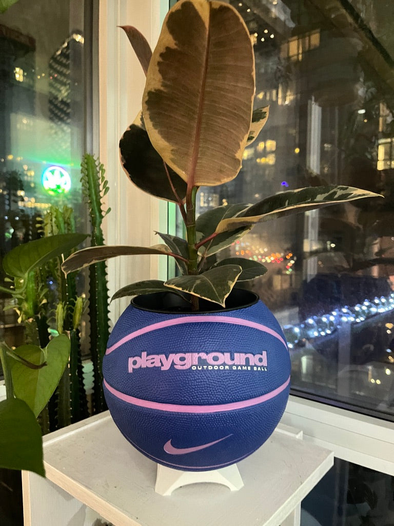 Nike Large Basketball Planter (Blueberry)