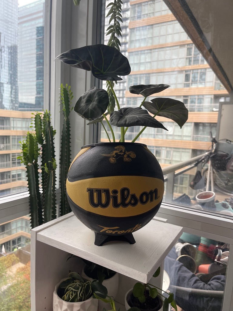 Large Basketball Planter (Toronto Raptors Gold Mascot)