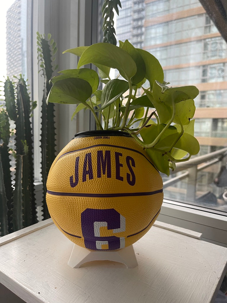 Mini Basketball Planter (Lebron James)