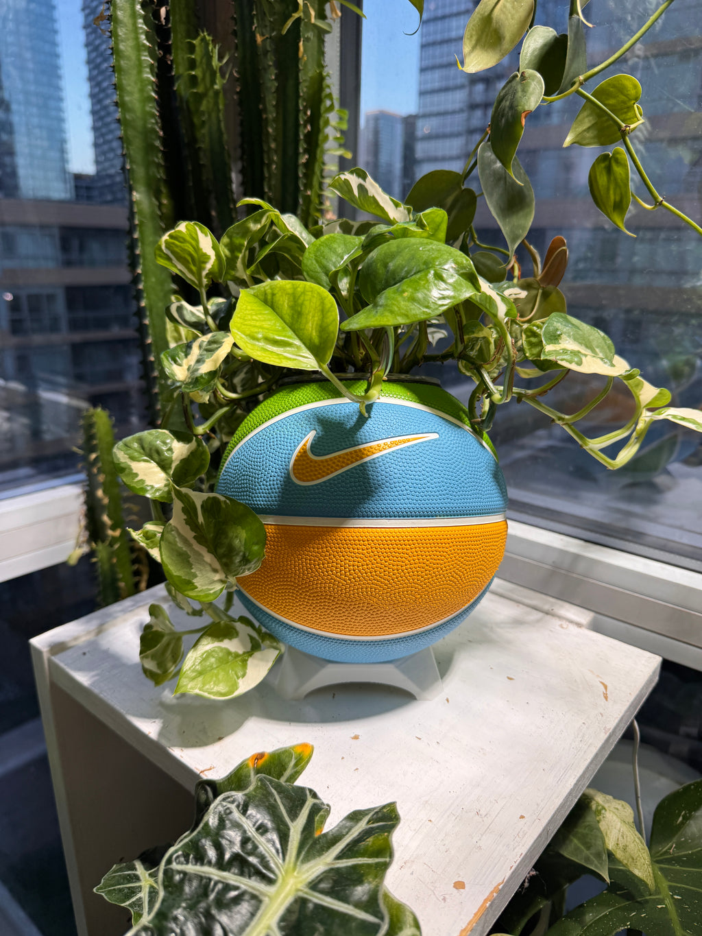Nike Mini Basketball Planter (Blue Sunshine)