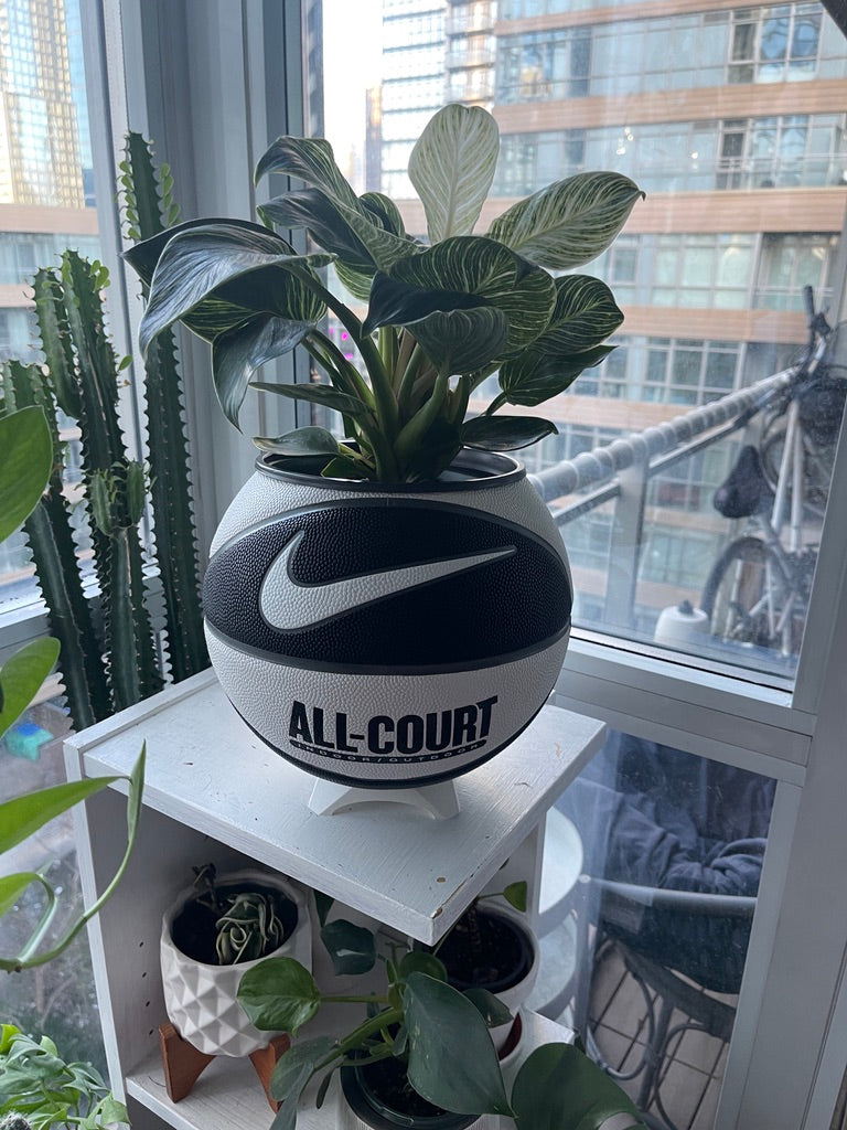 Nike Large Basketball Planter (Oreo All-Court)