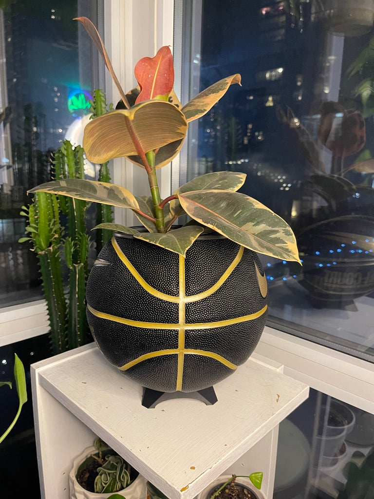 Nike Large Basketball Planter (Black & Gold All-Court)
