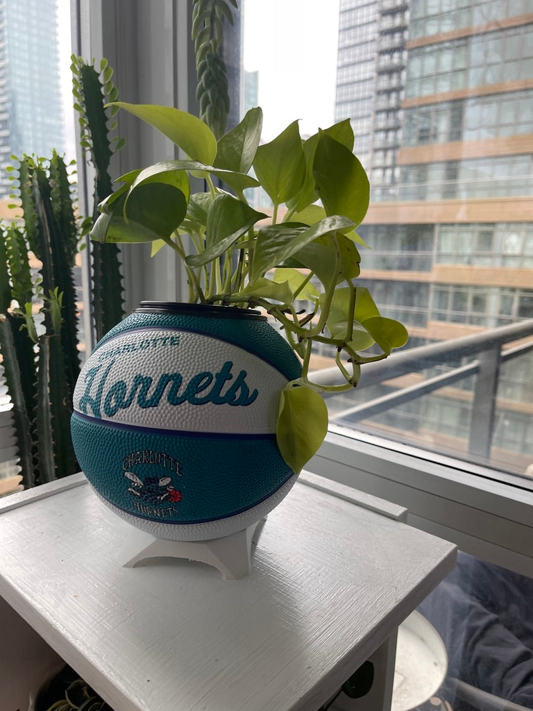 Mini Basketball Planter (Charlotte Hornets)