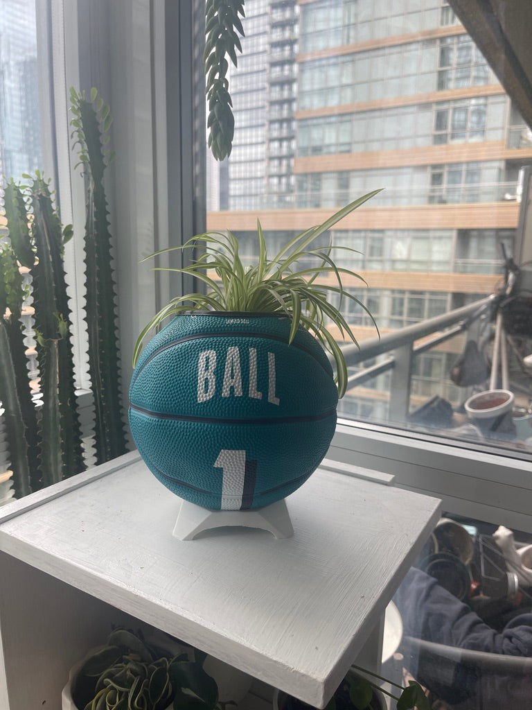Mini Basketball Planter (Lamelo Ball)