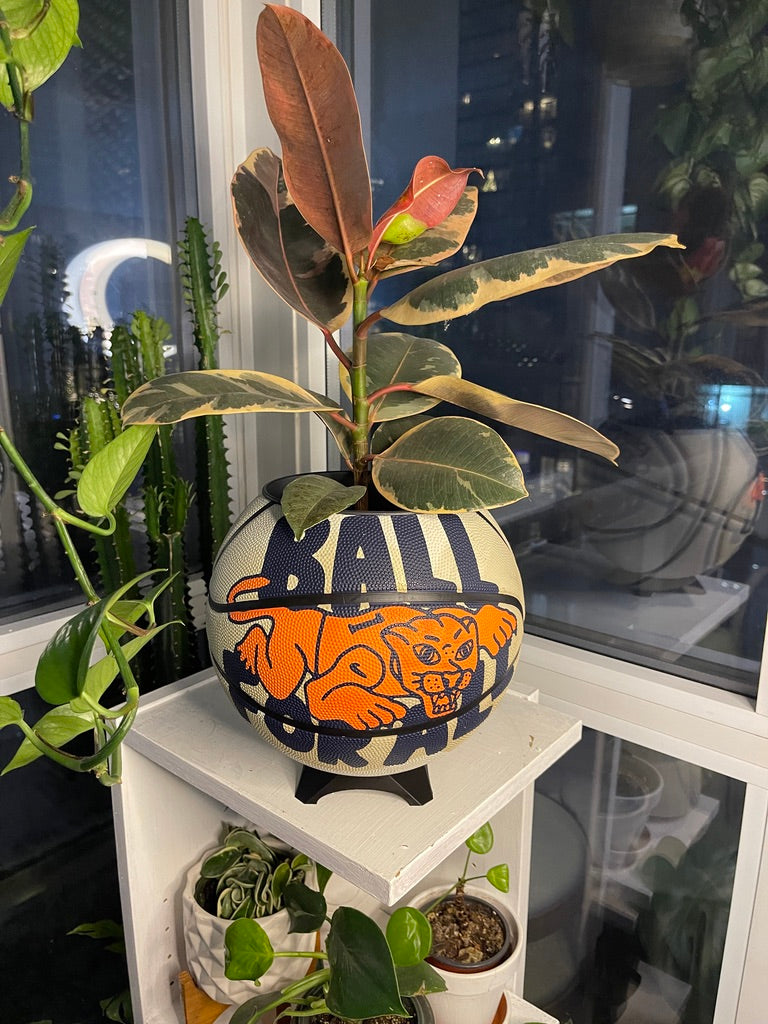 Nike Large Basketball Planter (Ball For All White)