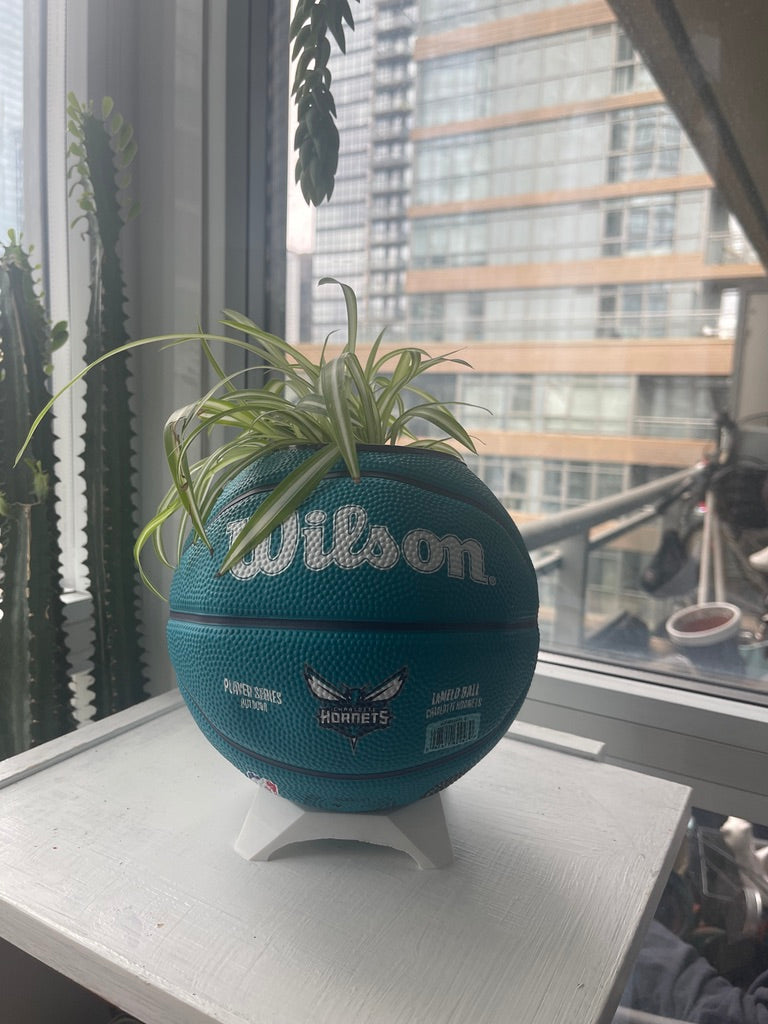 Mini Basketball Planter (Lamelo Ball)