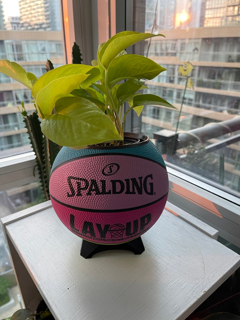 Mini Basketball Planter (Retro Lay Up)