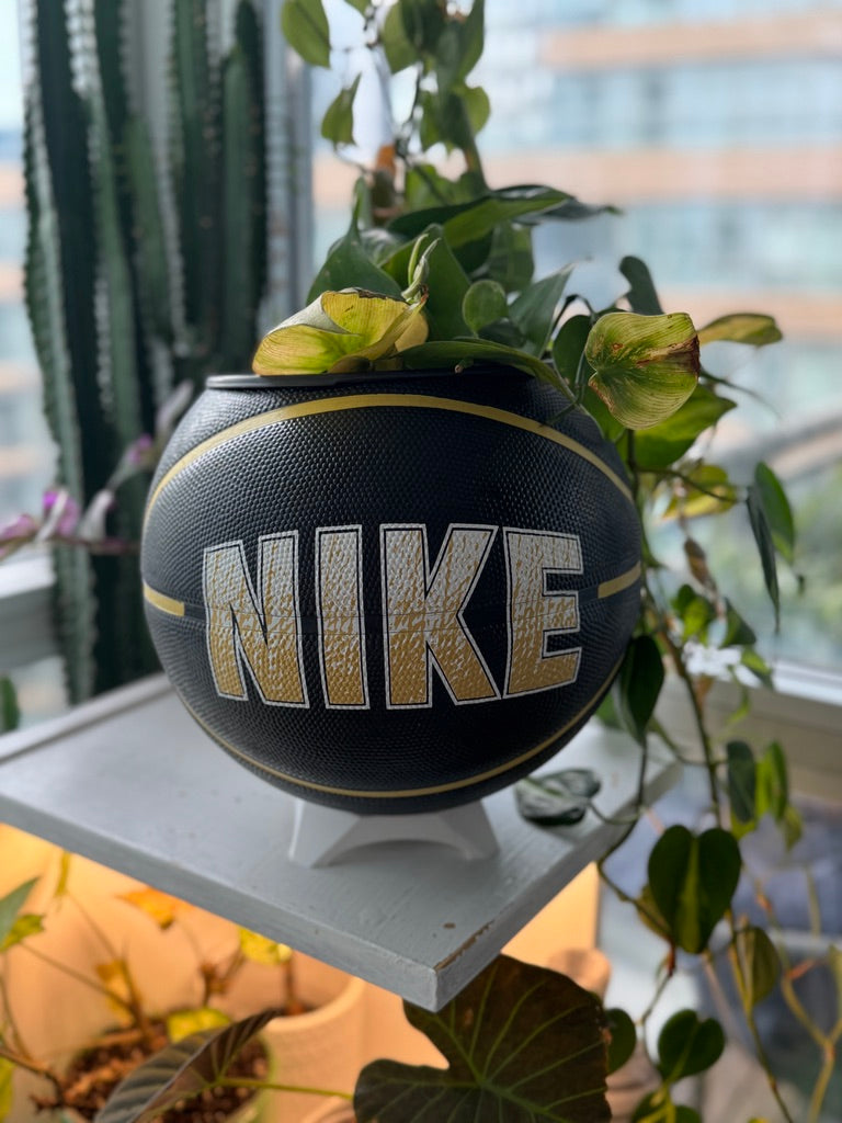 Nike Large Basketball Planter (Nike Black & Gold)