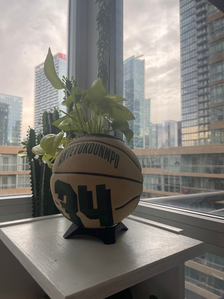 Mini Basketball Planter (Giannis Antetokounmpo)
