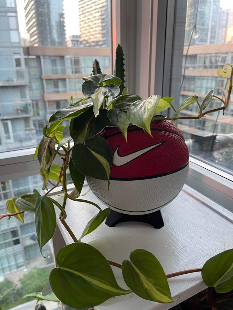 Nike Mini Basketball Planter (Red & White)
