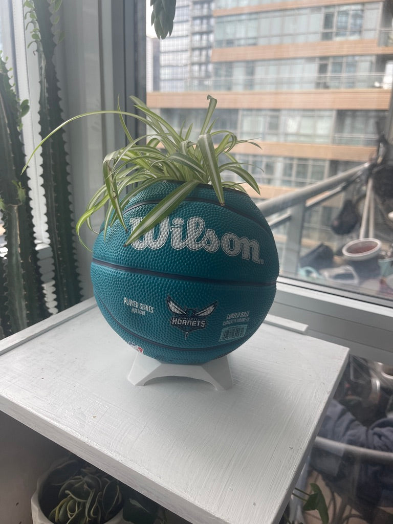 Mini Basketball Planter (Lamelo Ball)