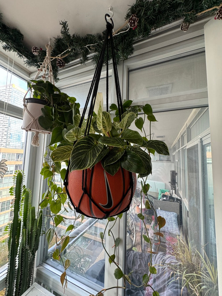 Nike Large Basketball Hanging Planter (Black Macrame - Original Reversed)