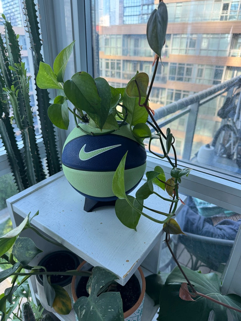 Nike Mini Basketball Planter (Blueberry Lime)