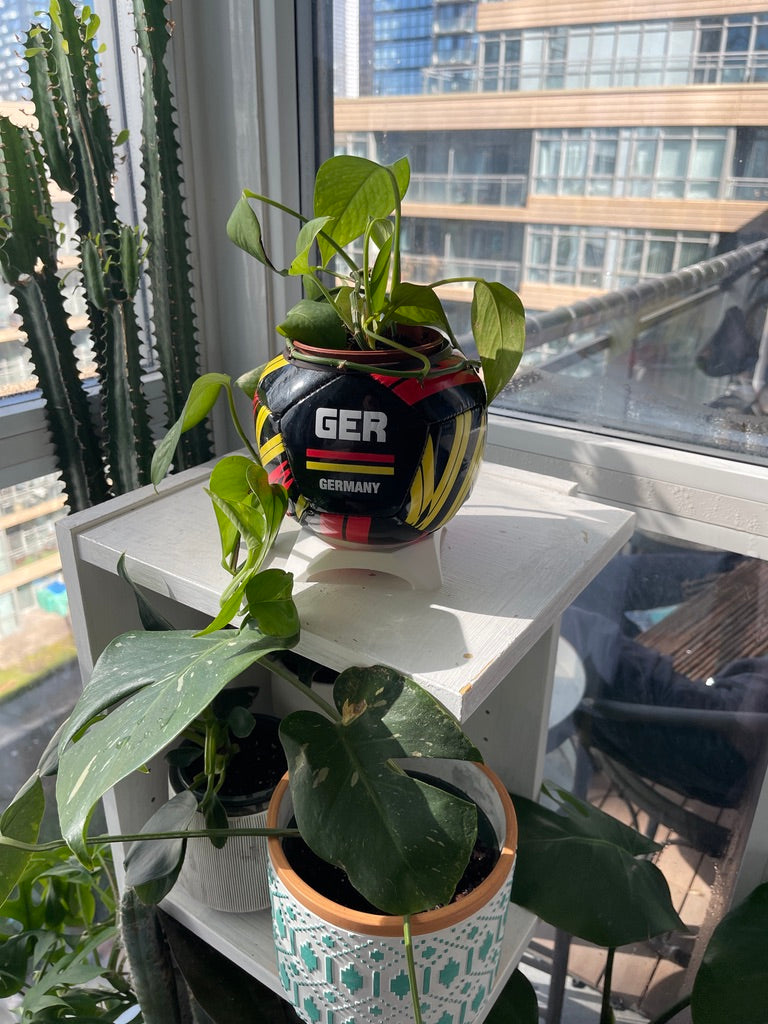 Mini Soccer Ball Planter (Germany)
