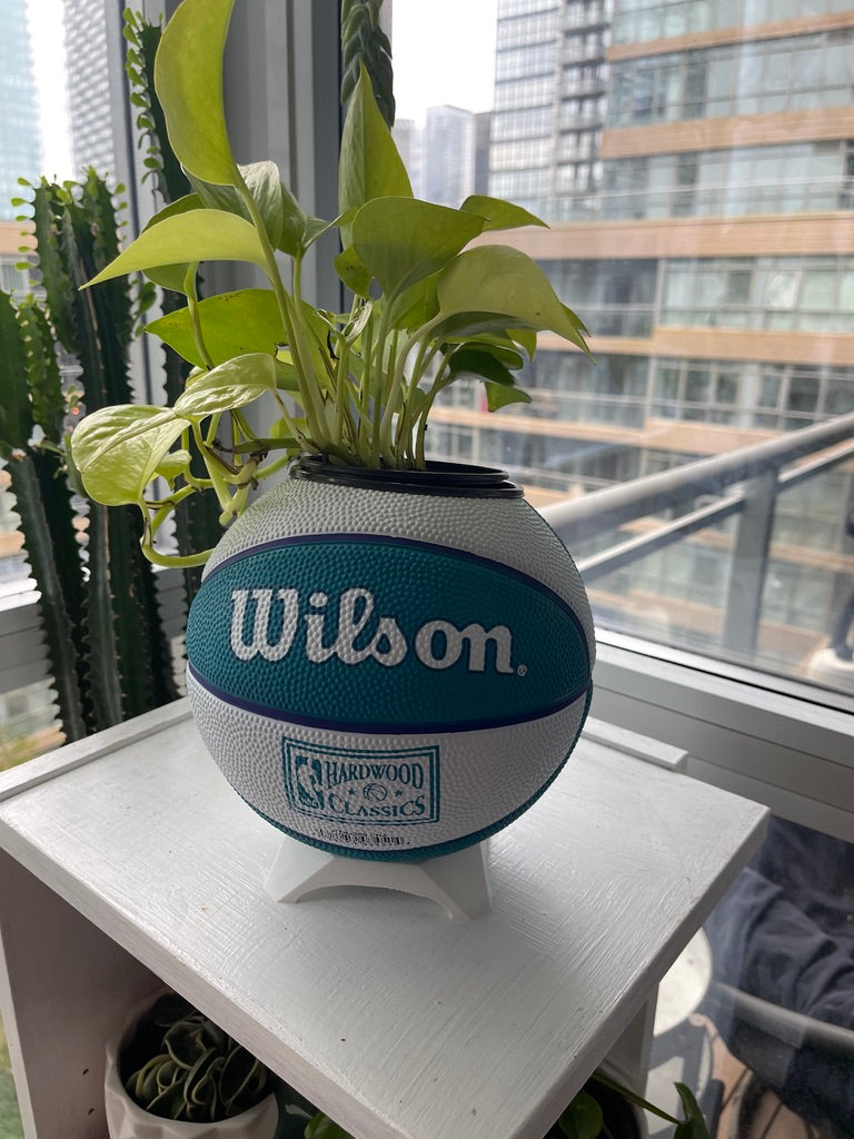 Mini Basketball Planter (Charlotte Hornets)