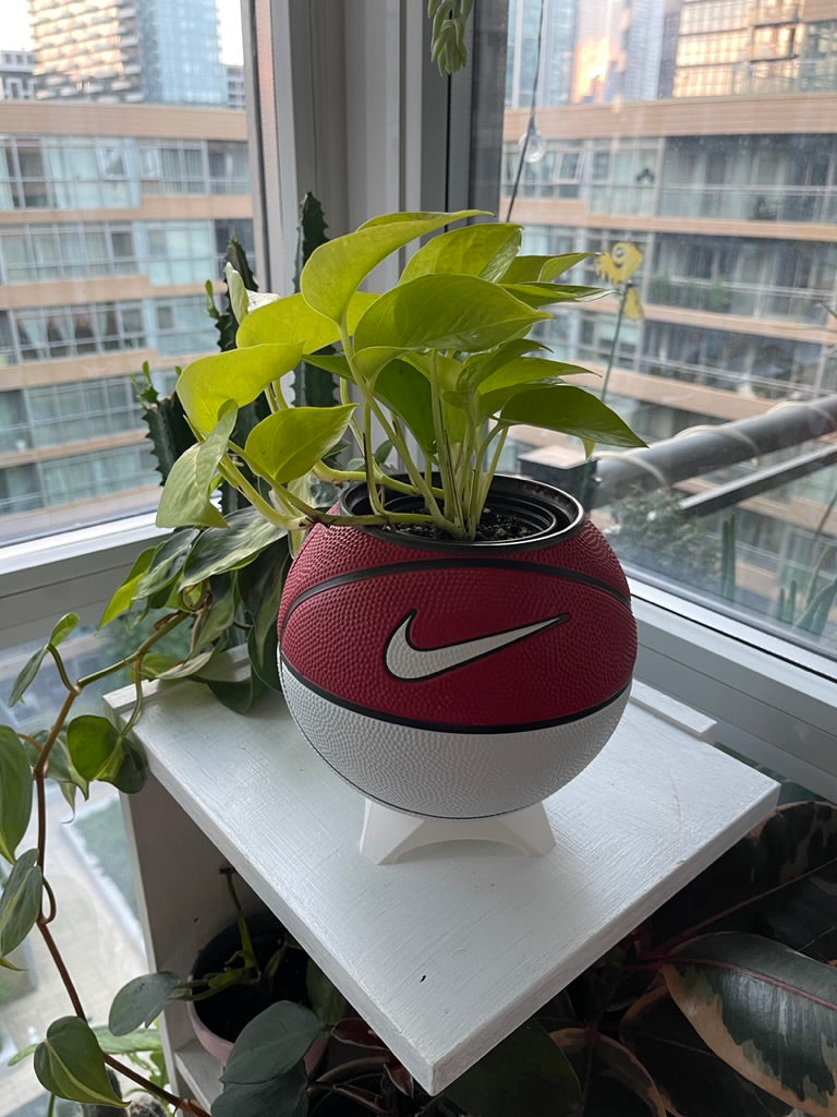 Nike Mini Basketball Planter (Red & White)