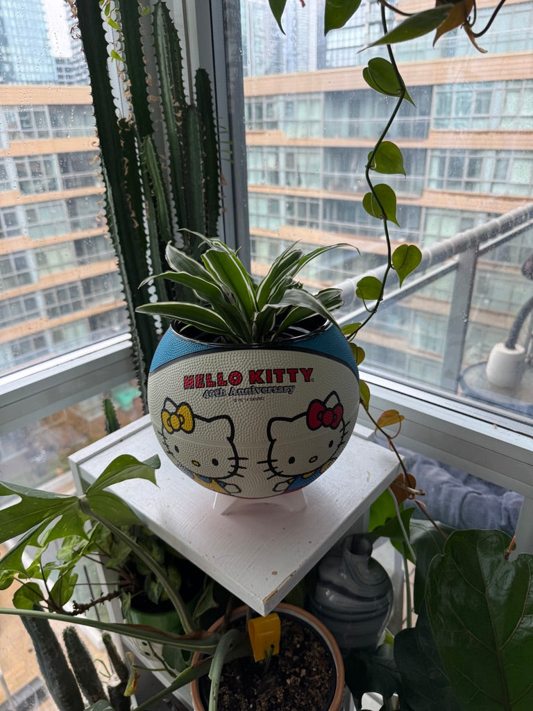 Large Basketball Planter (Hello Kitty)