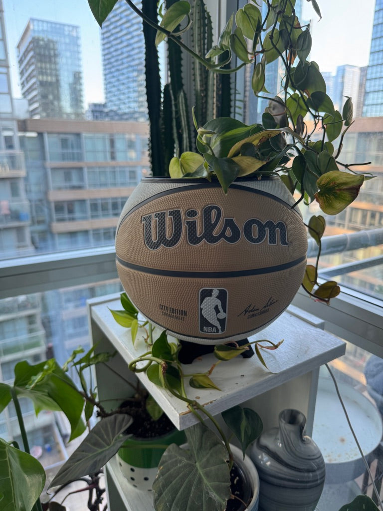 Large Basketball Planter (Chicago Bulls - Neutral)