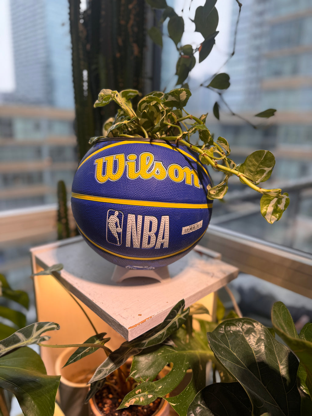 Large Basketball Planter (Golden State Warriors)