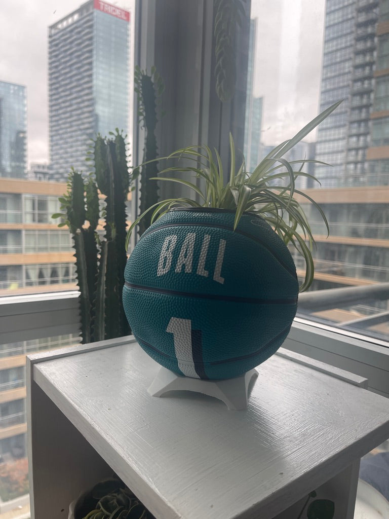 Mini Basketball Planter (Lamelo Ball)