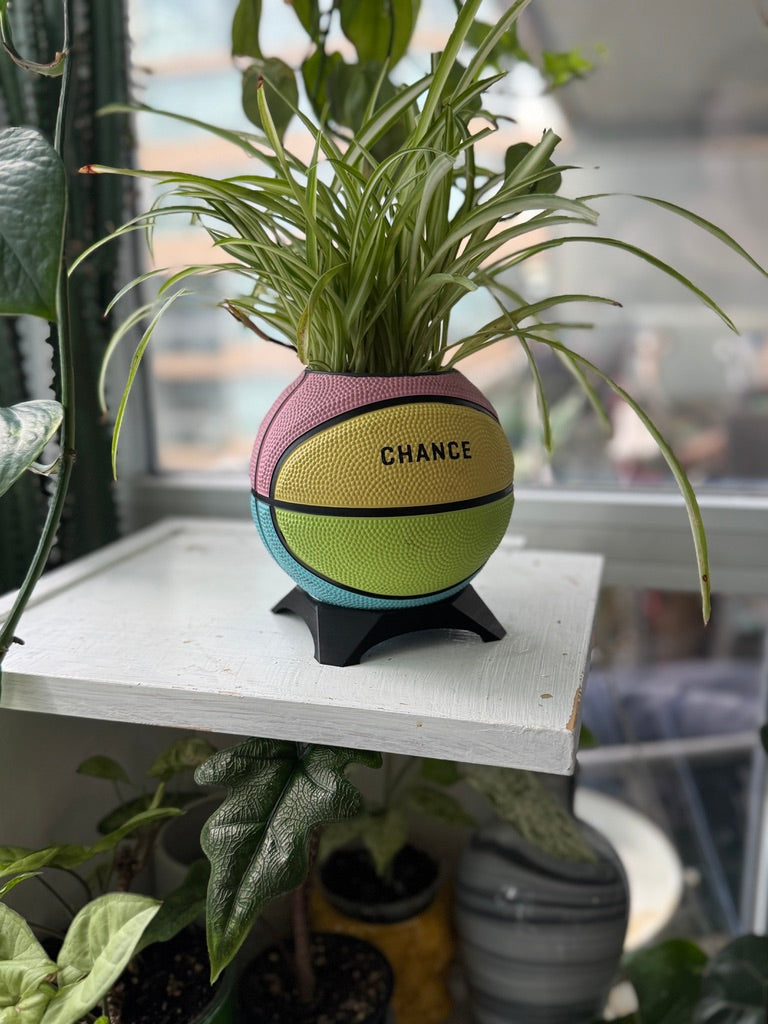 Ultra-Mini Basketball Planter (Sherbet Rainbow)