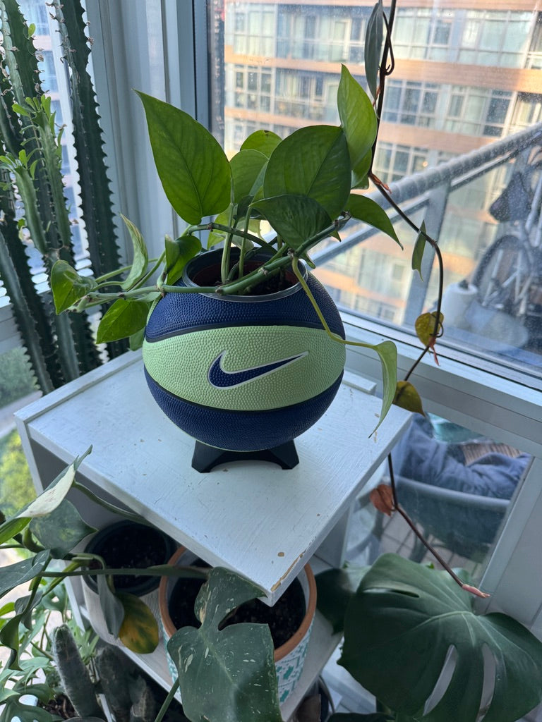 Nike Mini Basketball Planter (Blueberry Lime)
