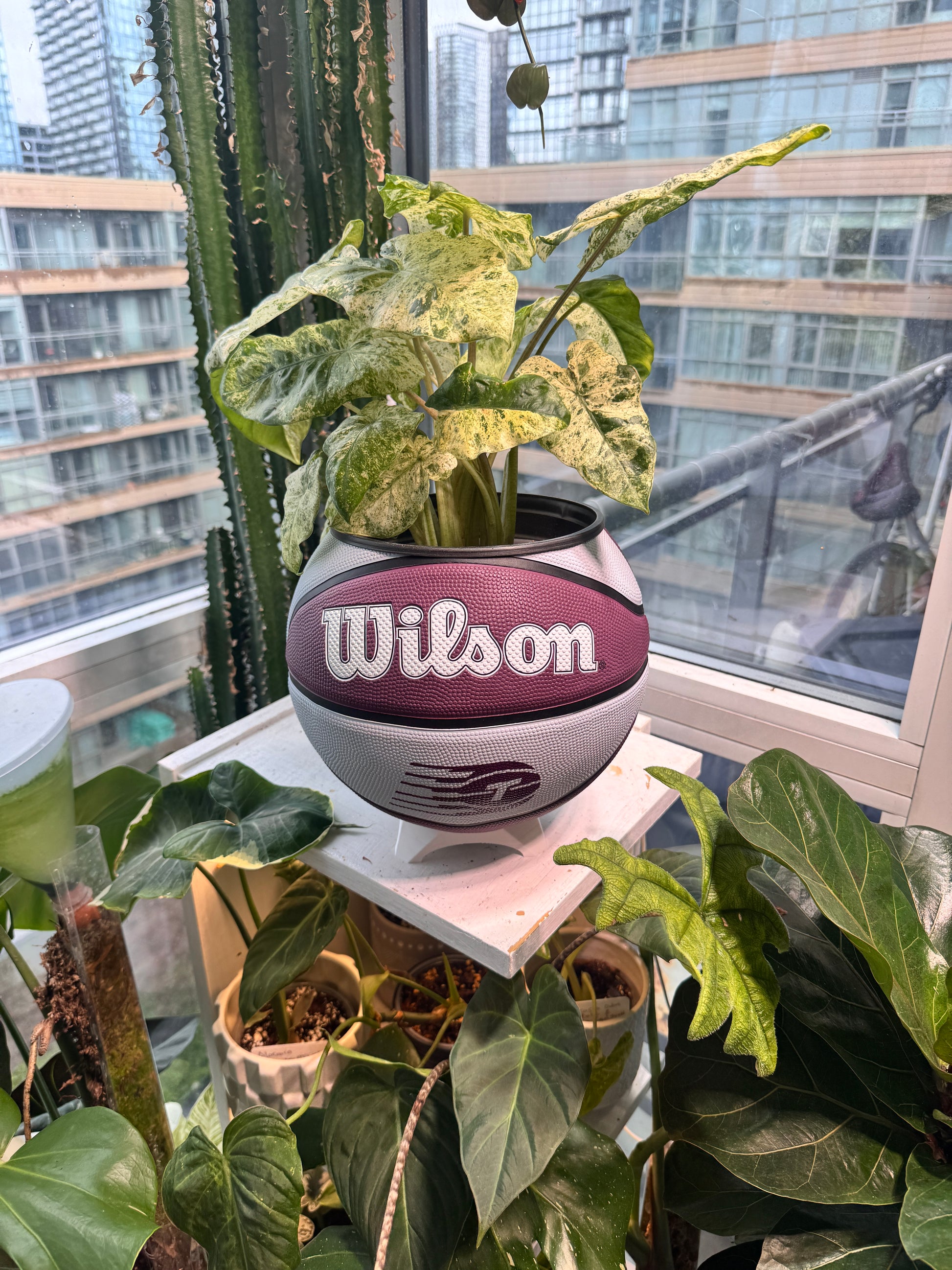 Large Basketball Planter (WNBA Toronto Tempo)