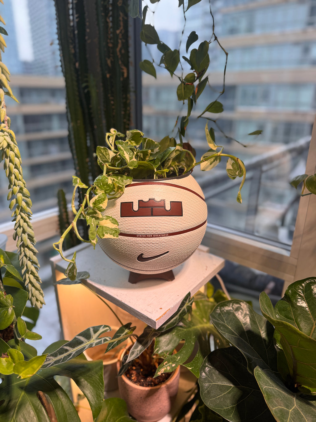 Nike Large Basketball Planter (LeBron King Brown & White)