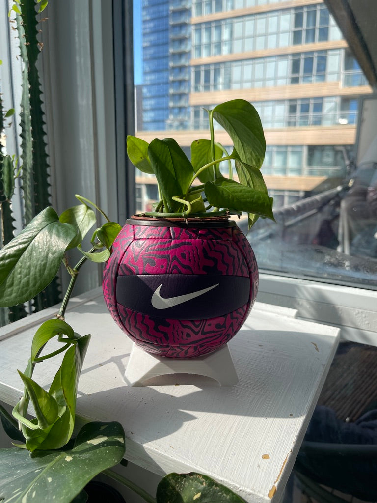Nike Mini Volleyball Planter (Grape Juice)