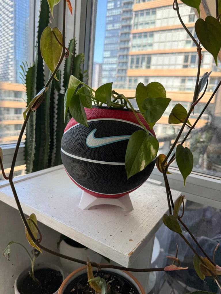 Nike Mini Basketball Planter (Blue Cherry)